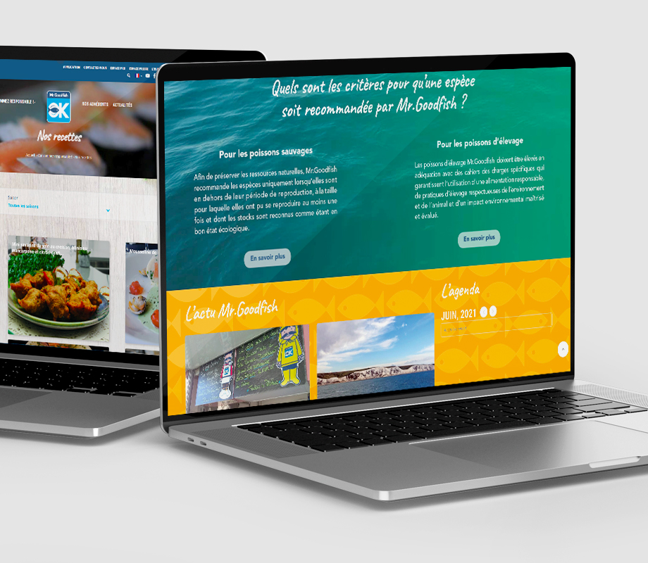 Création de site web Boulogne-sur-Mer | Accima agence conseil en communication